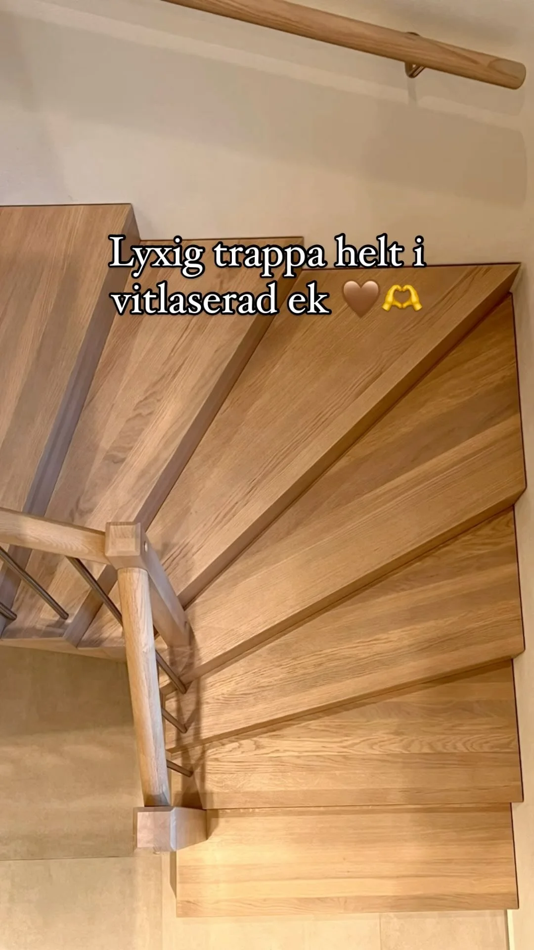 image asset 12